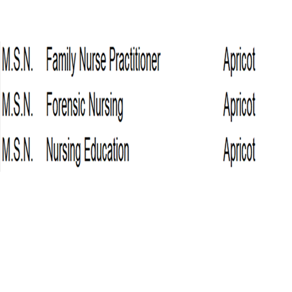 Masters Regalia - College of Nursing (CLNU) - TXAG Store