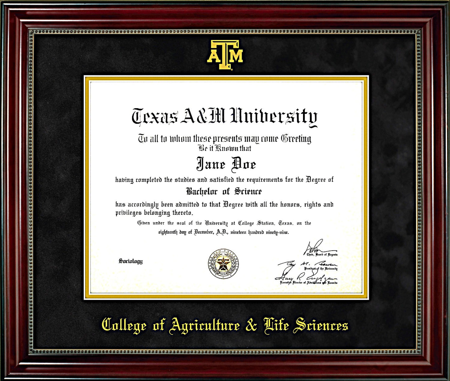 AGRICULTURAL & LIFE SCIENCES FRAME: Beaded Cherry Black Mat with Embossed ATM