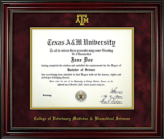 College of Veterinary Medicine & Biomedical Sciences Diploma Frame: Beaded Cherry/ Maroon Mat/ ATM