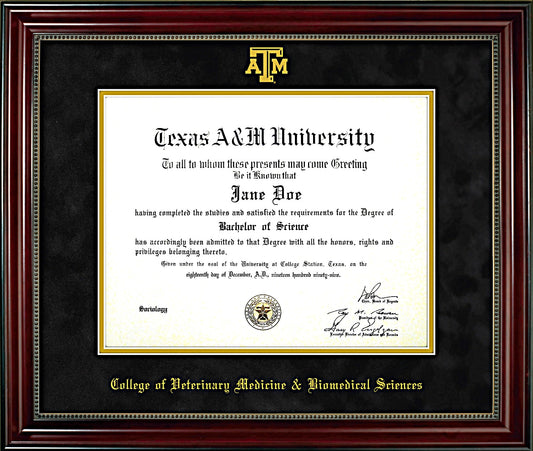 College of Veterinary Medicine & Biomedical Sciences Diploma Frame: Beaded Cherry/ Black Mat/ ATM