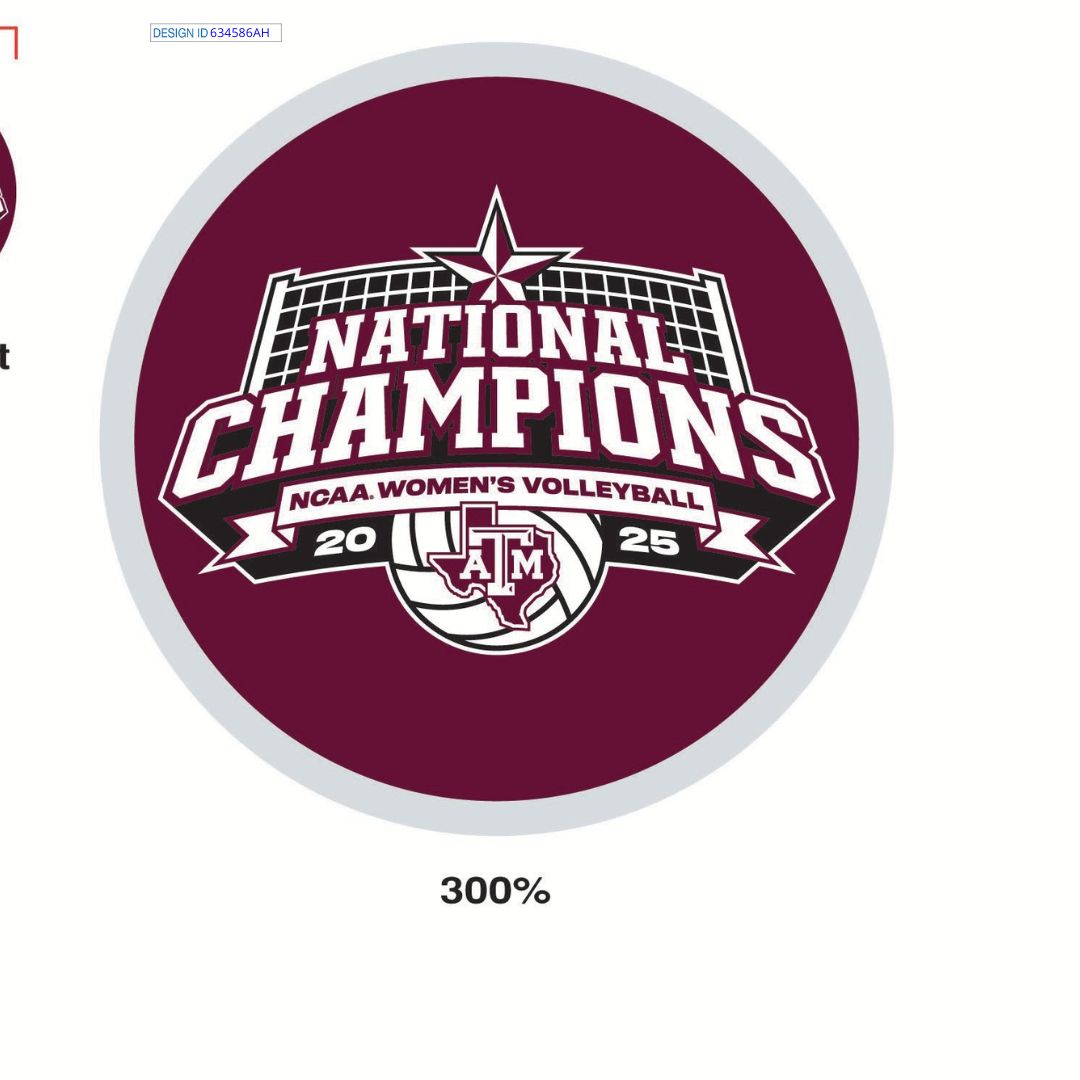 Texas A&M Volleyball National Champs Collectors Pin - TXAG Store 