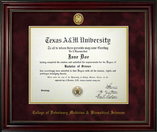 College of Veterinary Medicine & Biomedical Sciences Diploma Frame: Beaded Cherry/ Maroon Mat/ Ring Crest